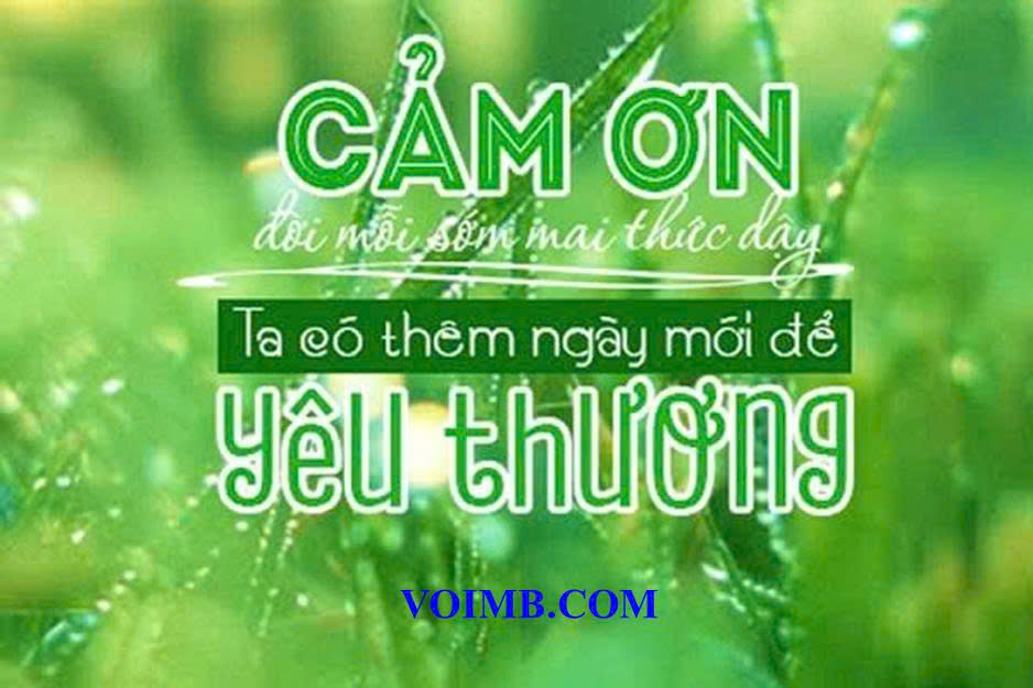 Khi Nào Thấy